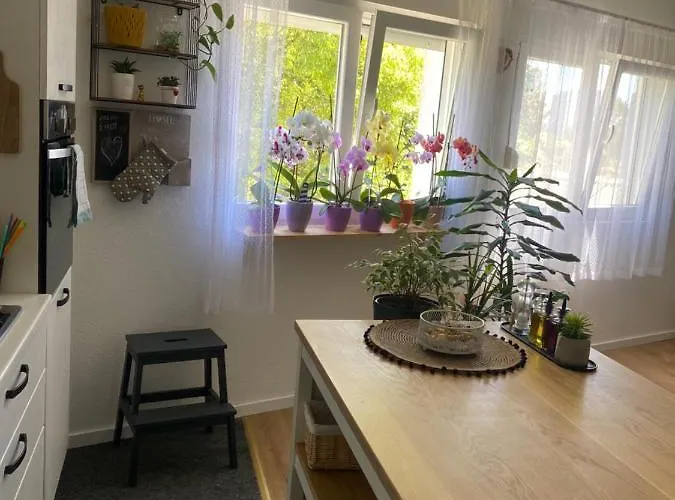 Centar