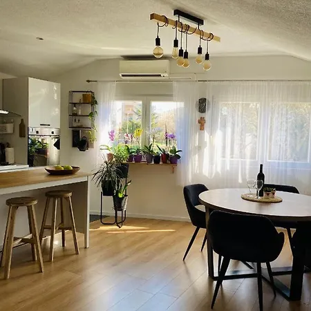 Apartment Centar *